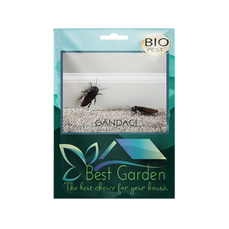 Insecticid bio impotriva gandacilor, 50 grame, Best Garden